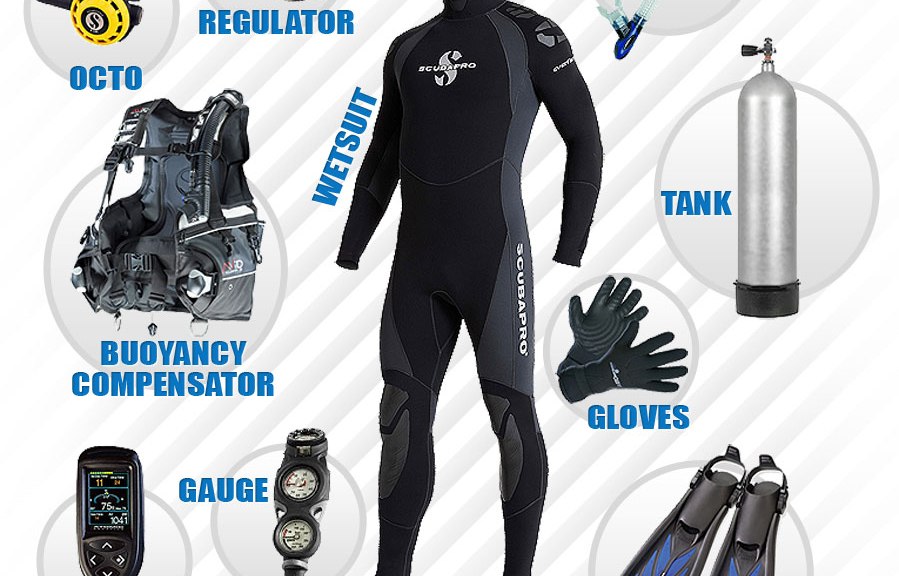 Best Dive Gear for Women